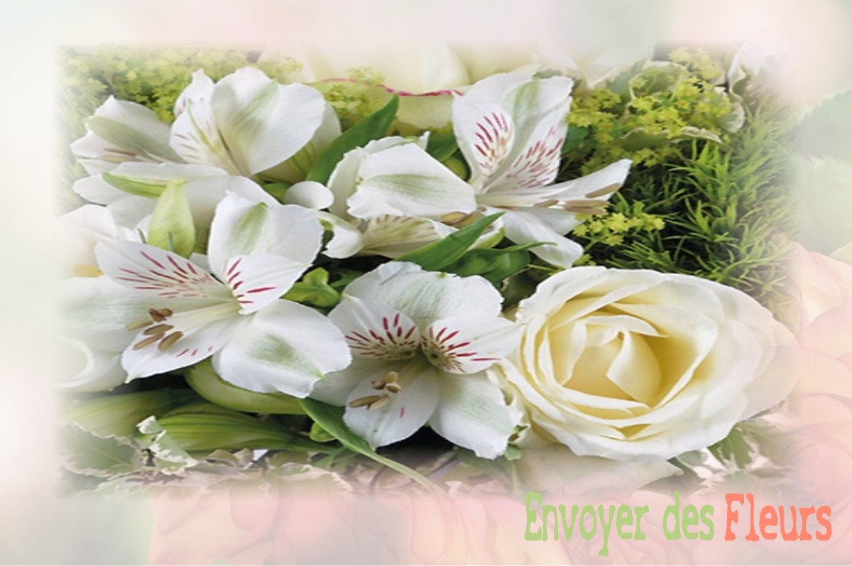 envoyer des fleurs à à SAINT-ROMANS-LES-MELLE